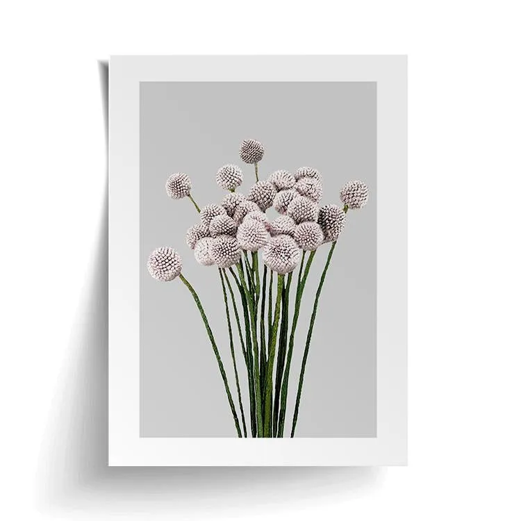 ALLIUM PRINT