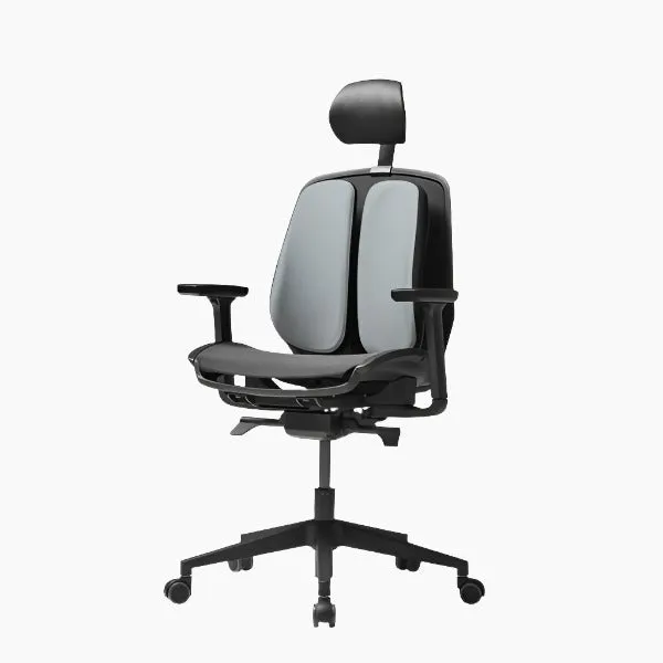 Alpha Renewal Ergonomic Office Chair