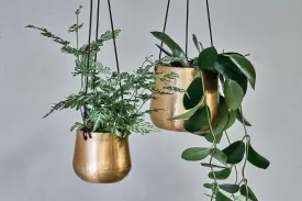 Atsu Brass Hanging Planter