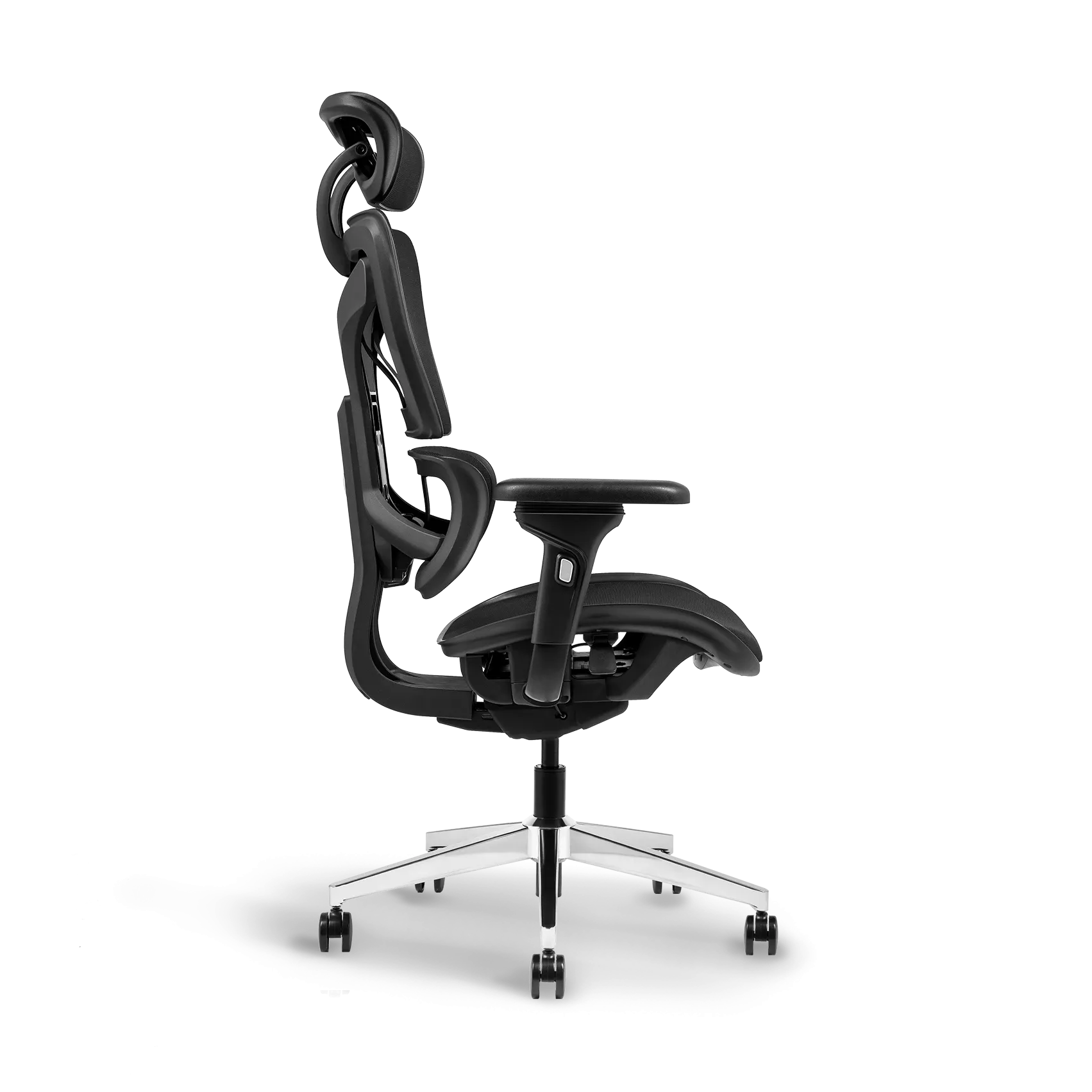 Ayla Ergonomic Chair