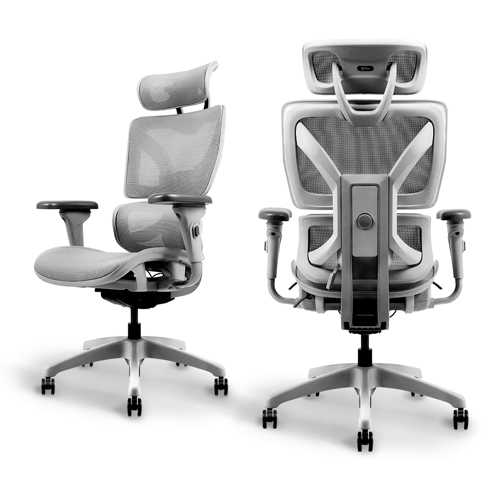 Ayla Ergonomic Chair