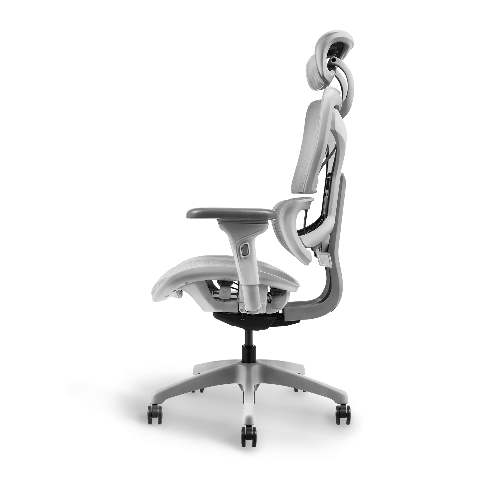 Ayla Ergonomic Chair