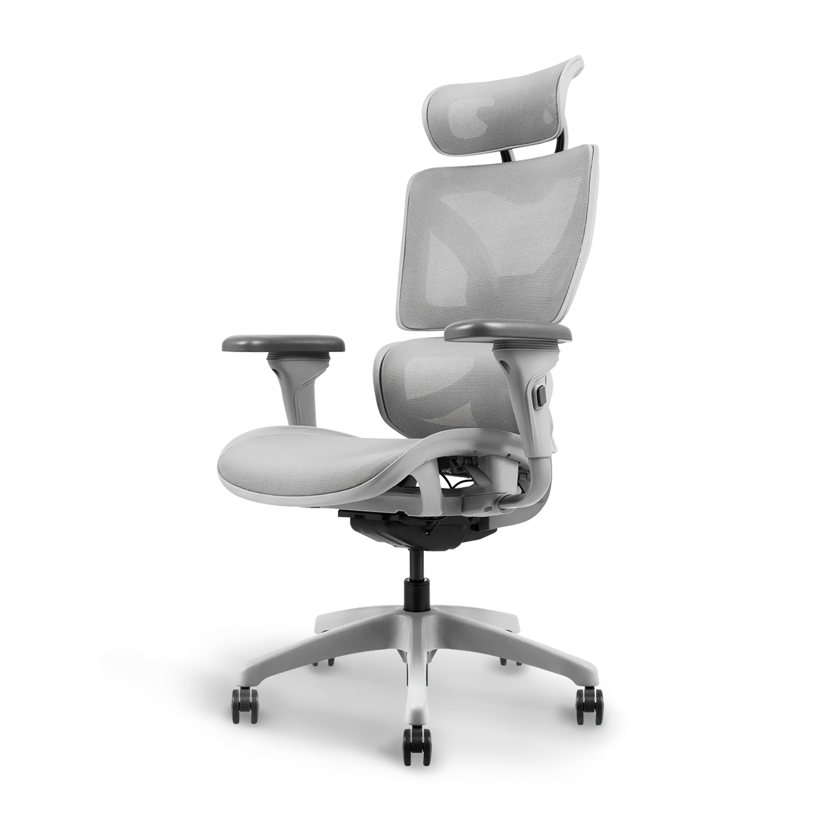 Ayla Ergonomic Chair