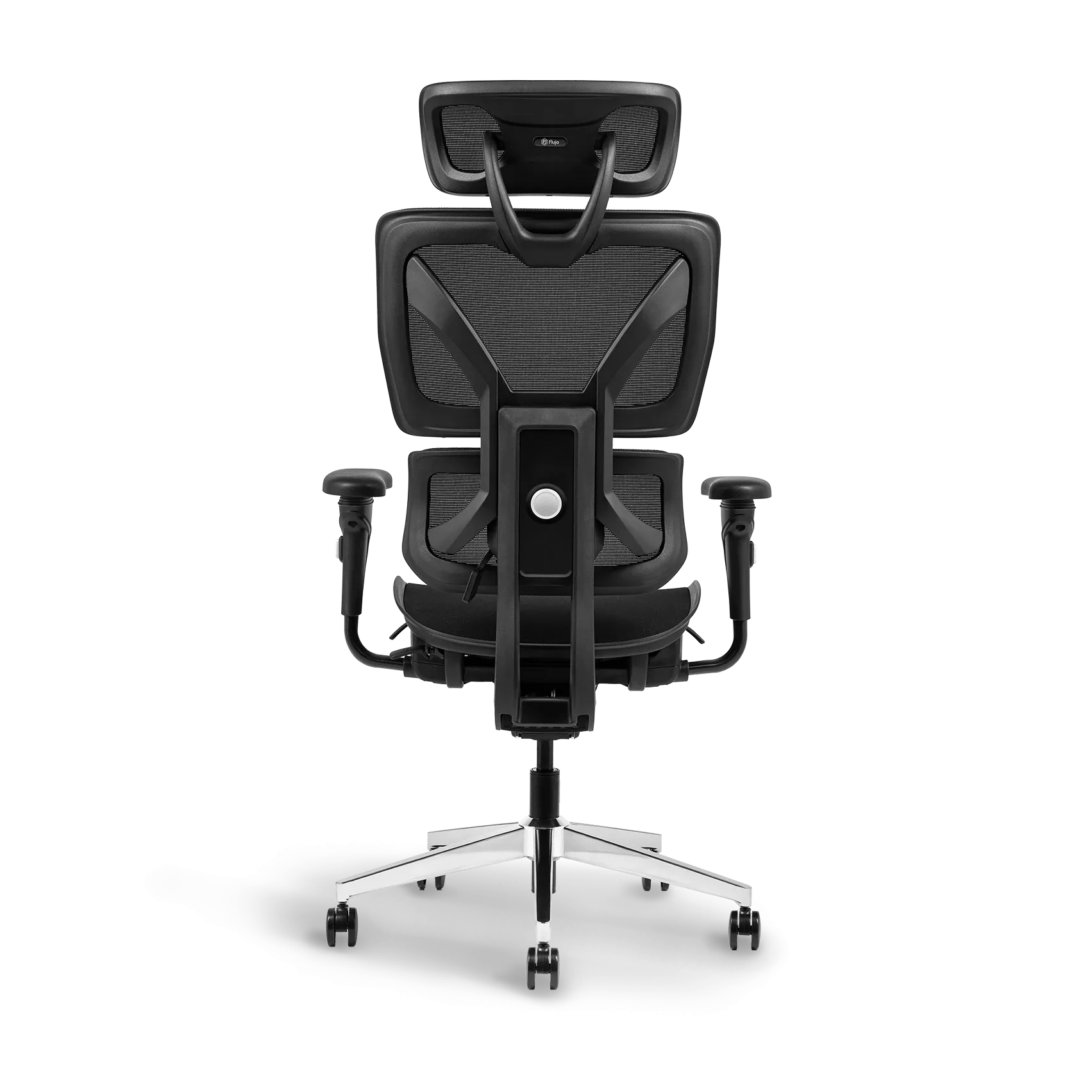 Ayla Ergonomic Chair