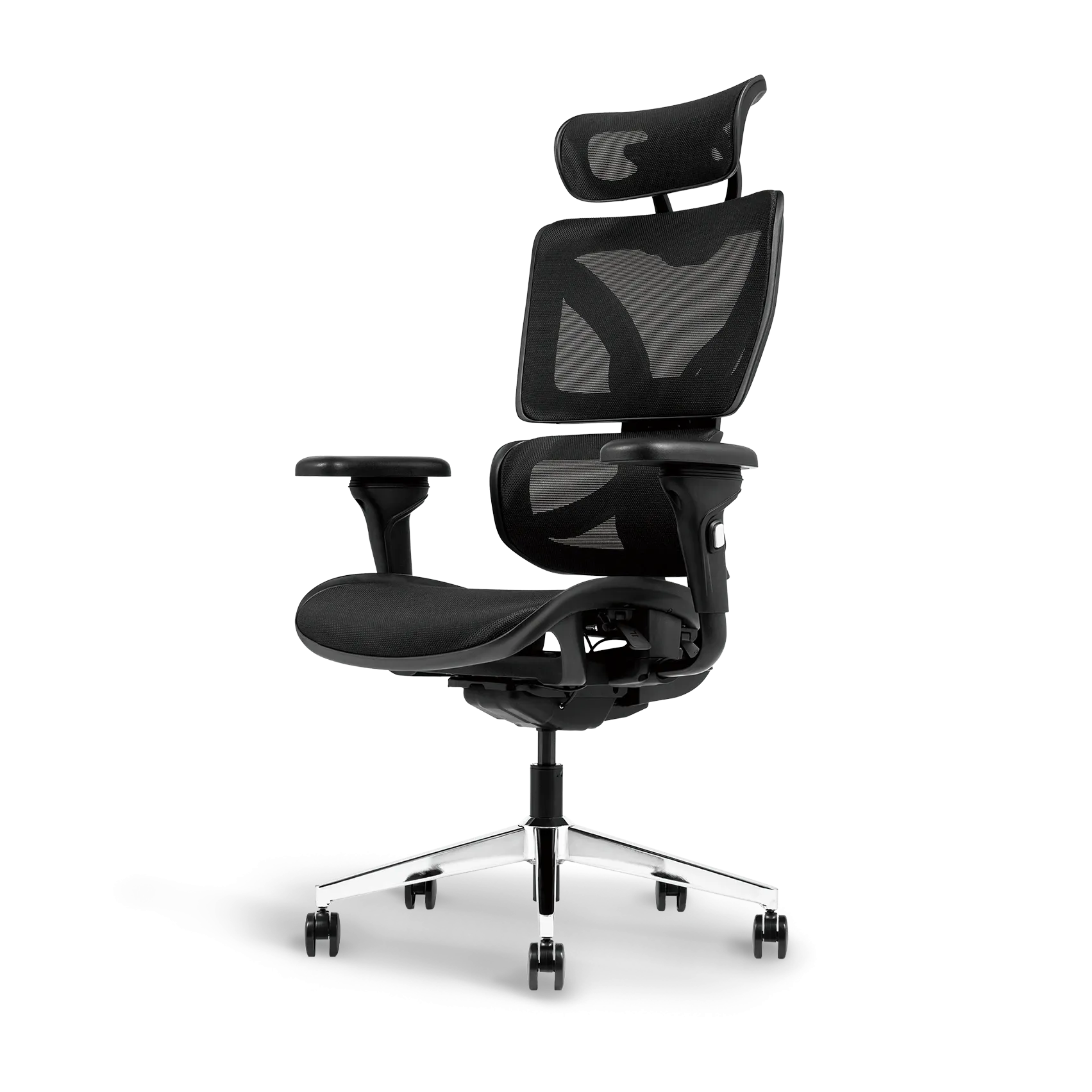 Ayla Ergonomic Chair