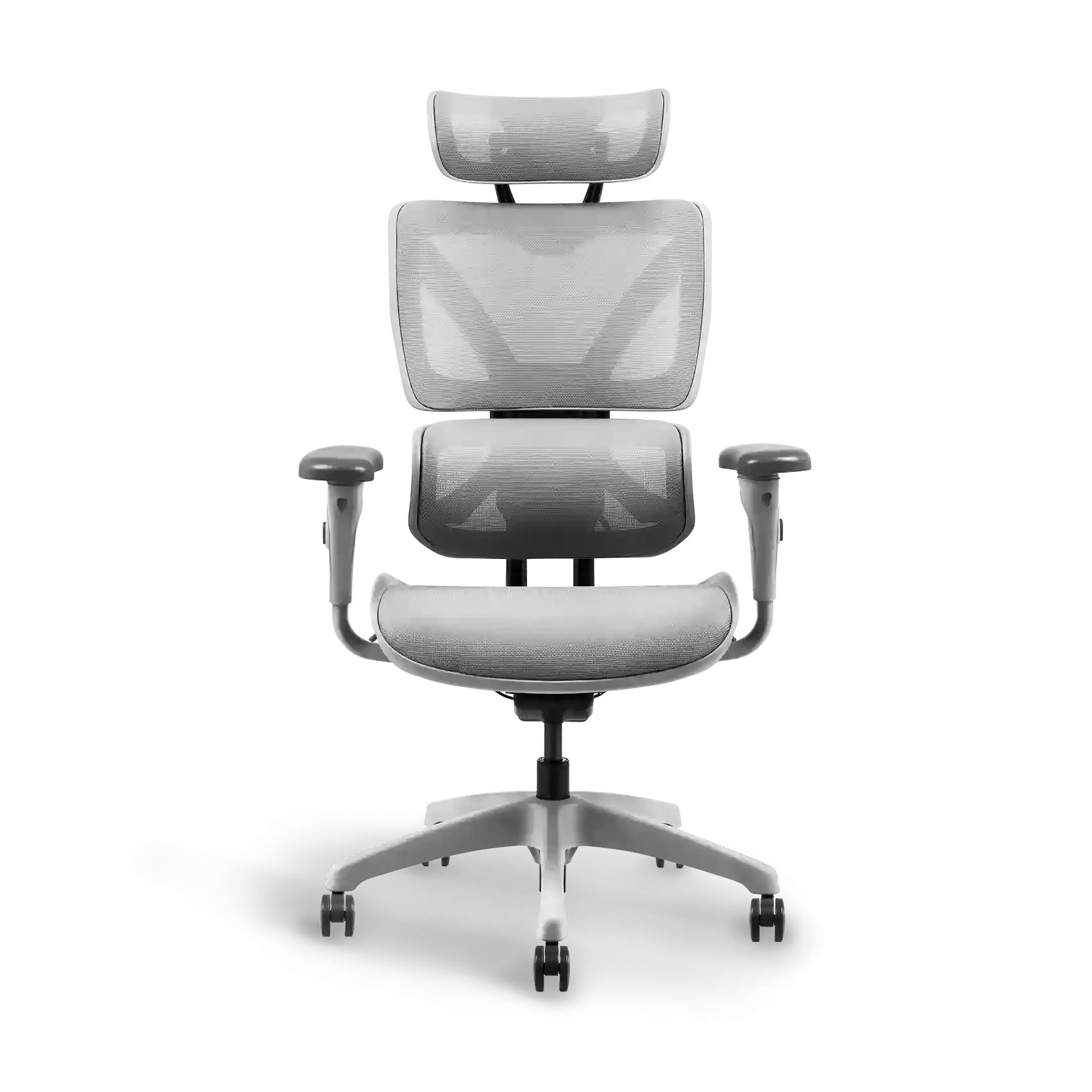 Ayla Ergonomic Chair