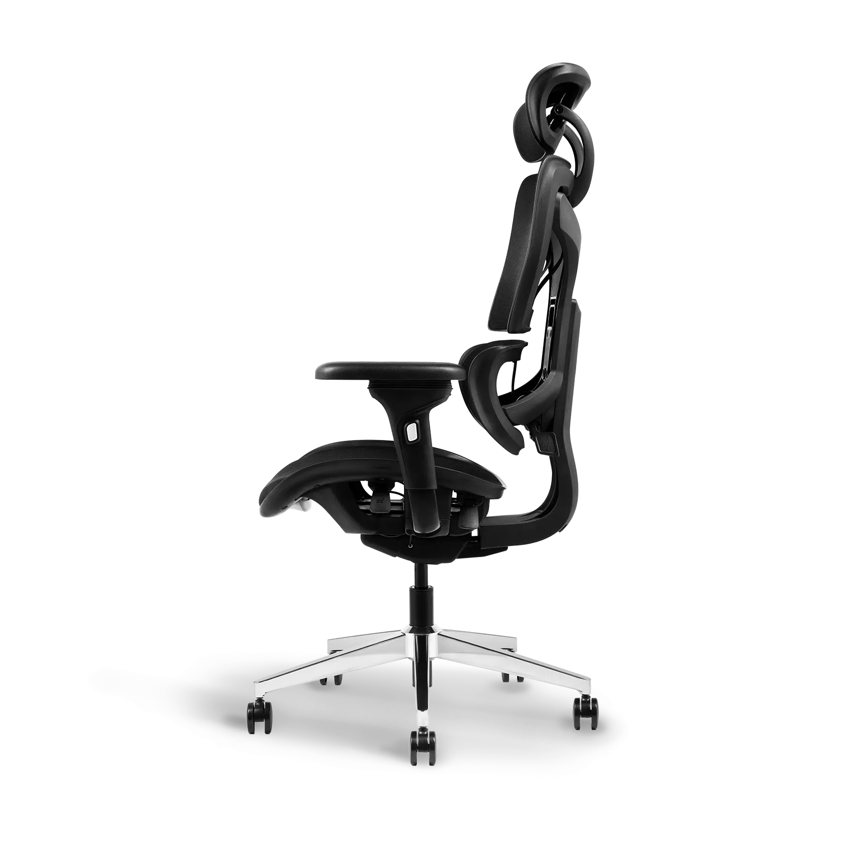 Ayla Ergonomic Chair