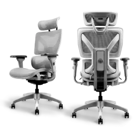 Ayla Ergonomic Chair