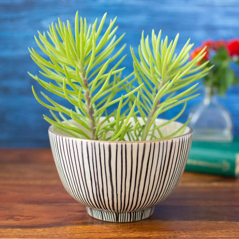 Ceramic Round Planter | White & Black