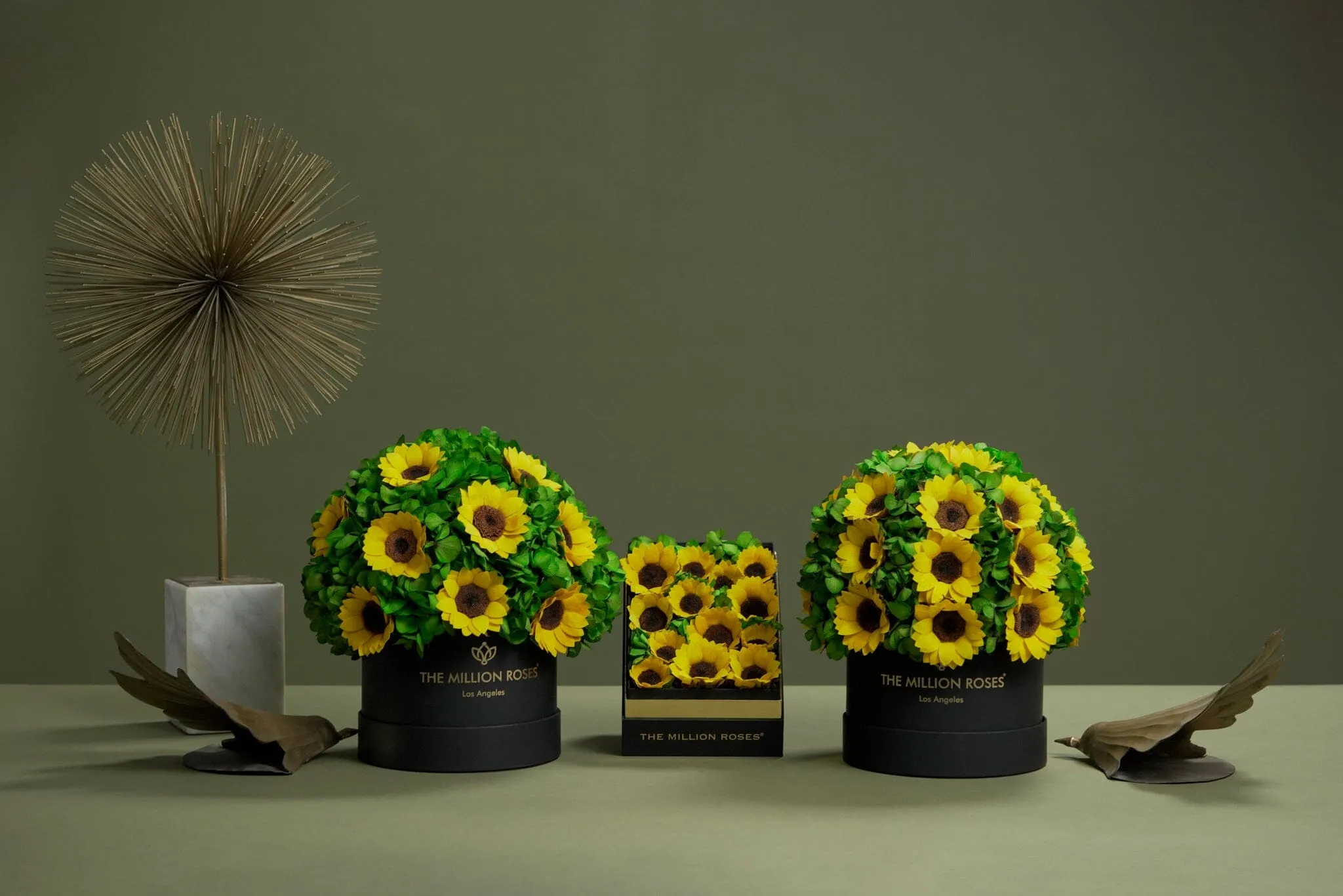 Classic Black Box | Sunflowers & Green Hydrangeas