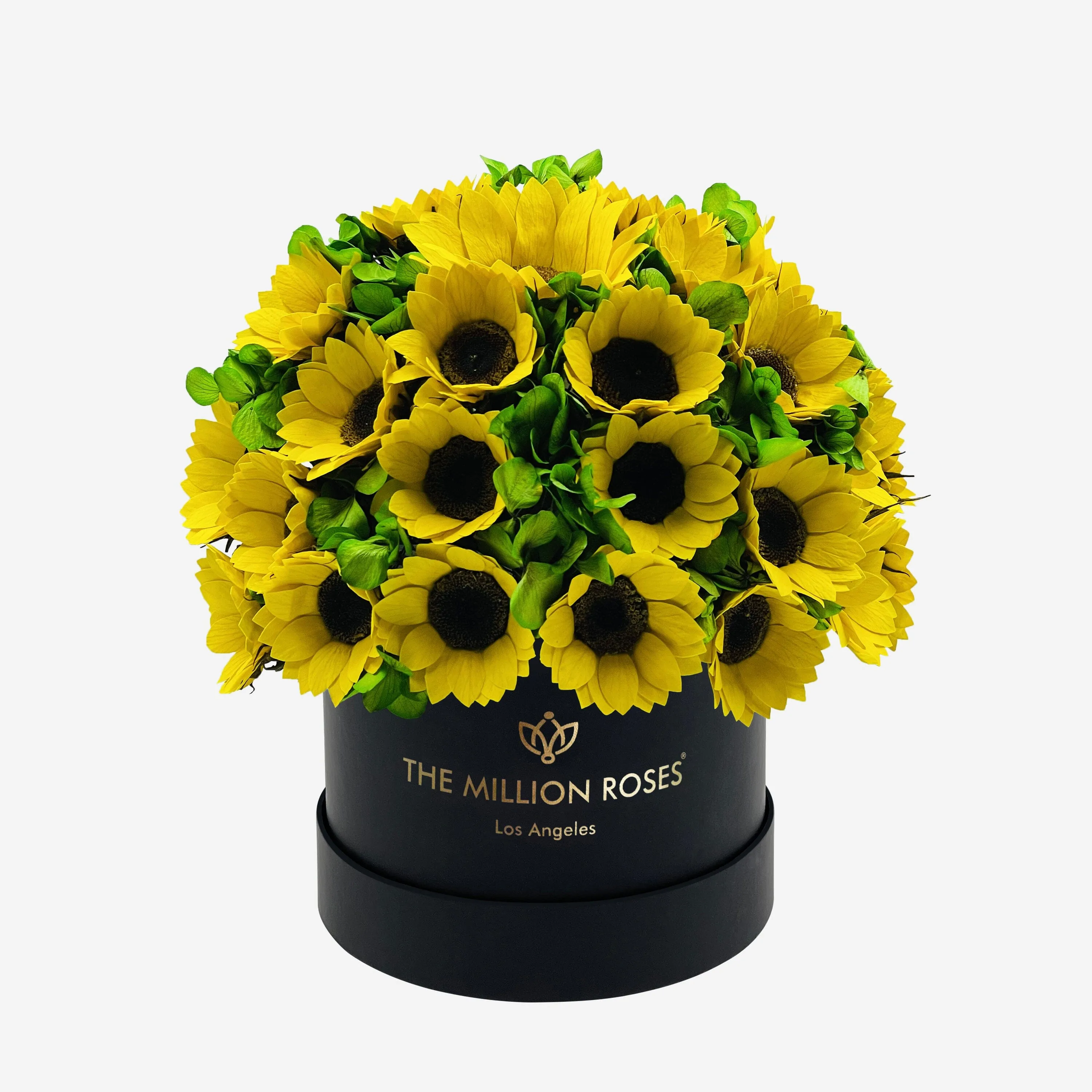 Classic Black Box | Sunflowers & Green Hydrangeas