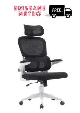 Cloud Ergonomic Mesh Office Chair