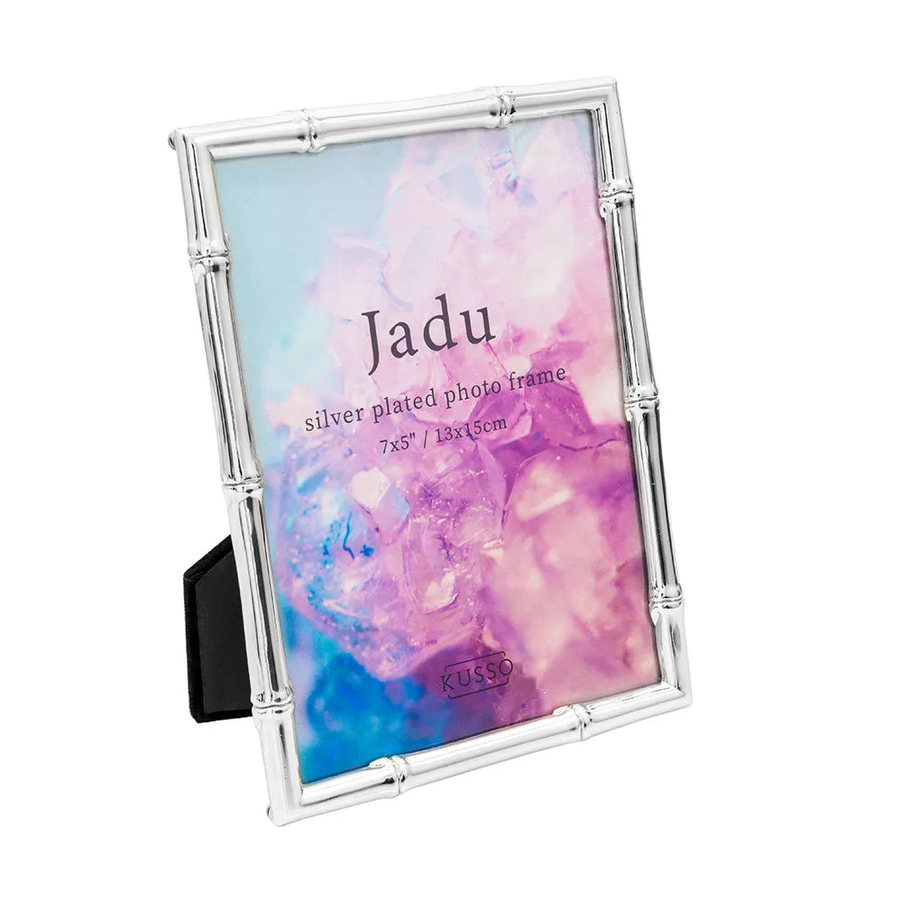 Jadu Silver Plated Photo Frames