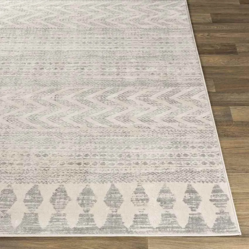 Shepshed Modern Area Rug Carpet for Living Room, Bedroom or Kitchen