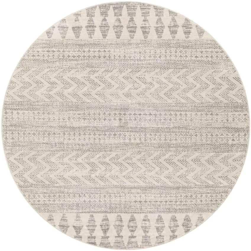 Shepshed Modern Area Rug Carpet for Living Room, Bedroom or Kitchen